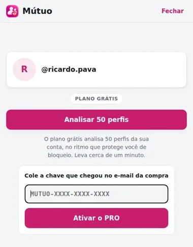 Campo para colar a chave e o botão Ativar o PRO